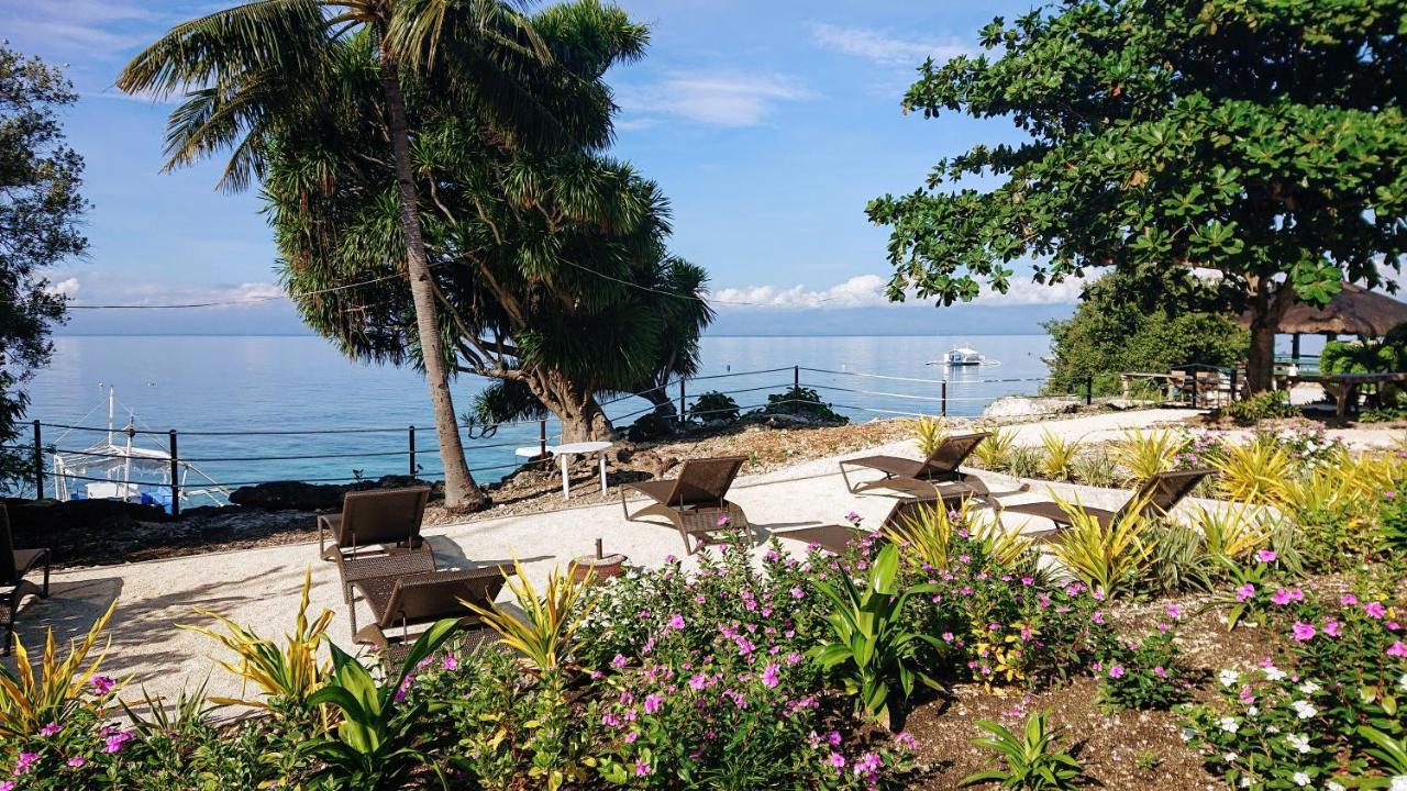 Cebu Seaview Dive Resort Moalboal Exterior photo