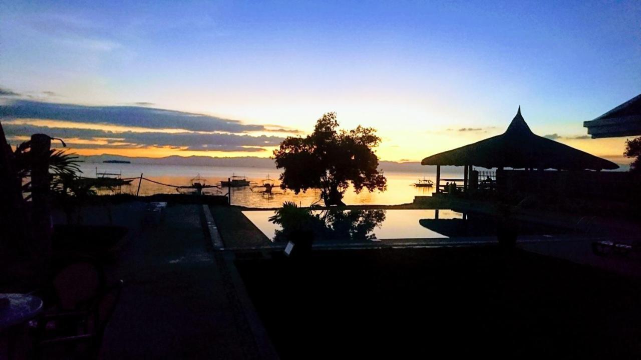 Cebu Seaview Dive Resort Moalboal Exterior photo